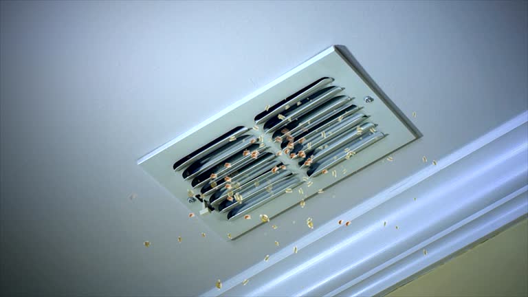 Best Dryer Vent Cleaning Services  in Garfield, TX